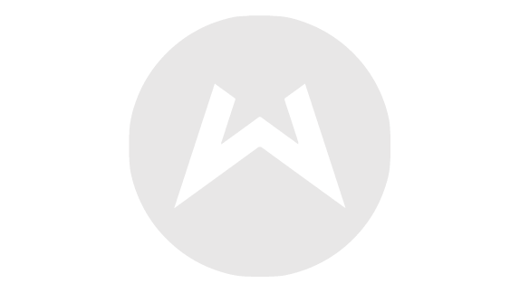 Waserman Logo Grayscale