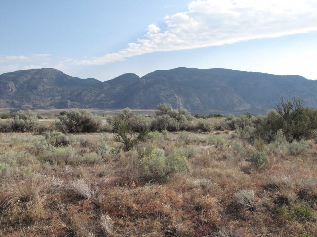 View of a Desert in The Summer