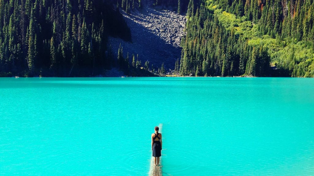 View of a Lake In The Summer