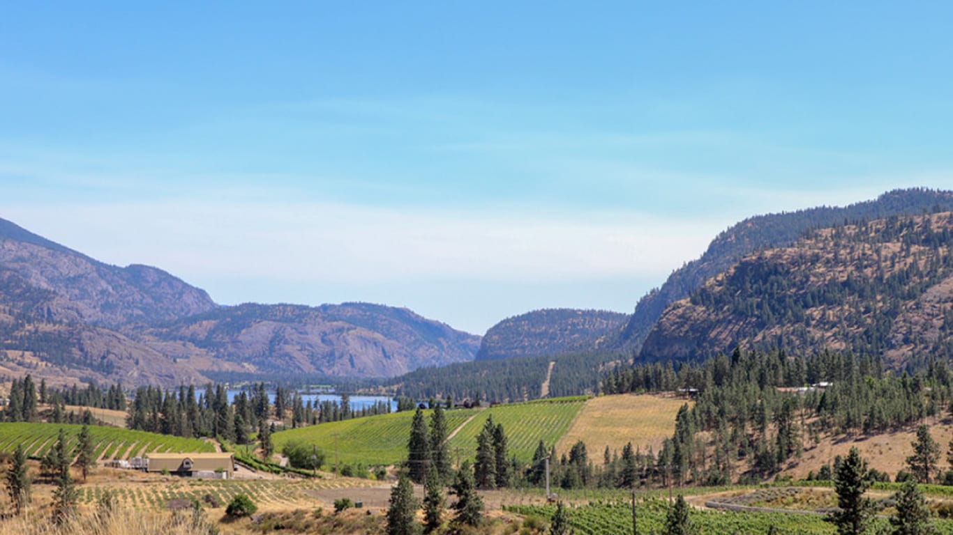 Okanagan in The Summer