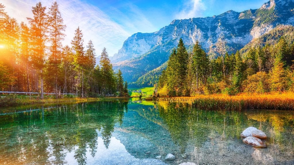 Summer River Stream