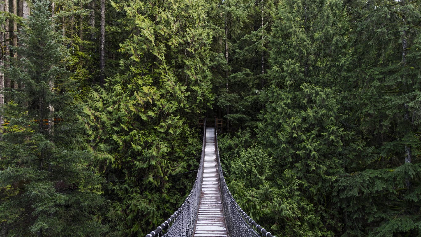 Capilano Suspension Bridge