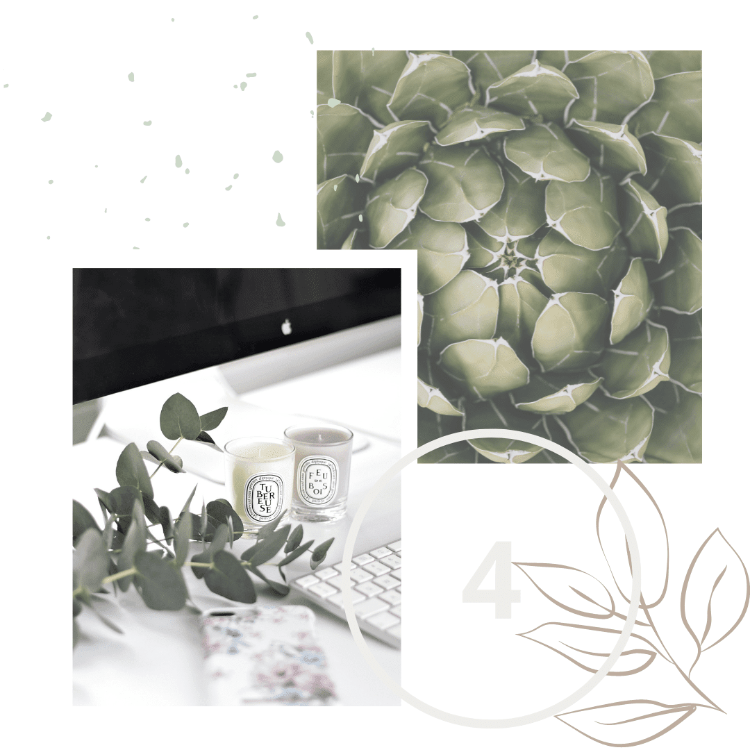 Interior Design Trends, Interior Design Styling, Biophilic Design, Online Interior Design, Greenery, Green Design, Natural Design