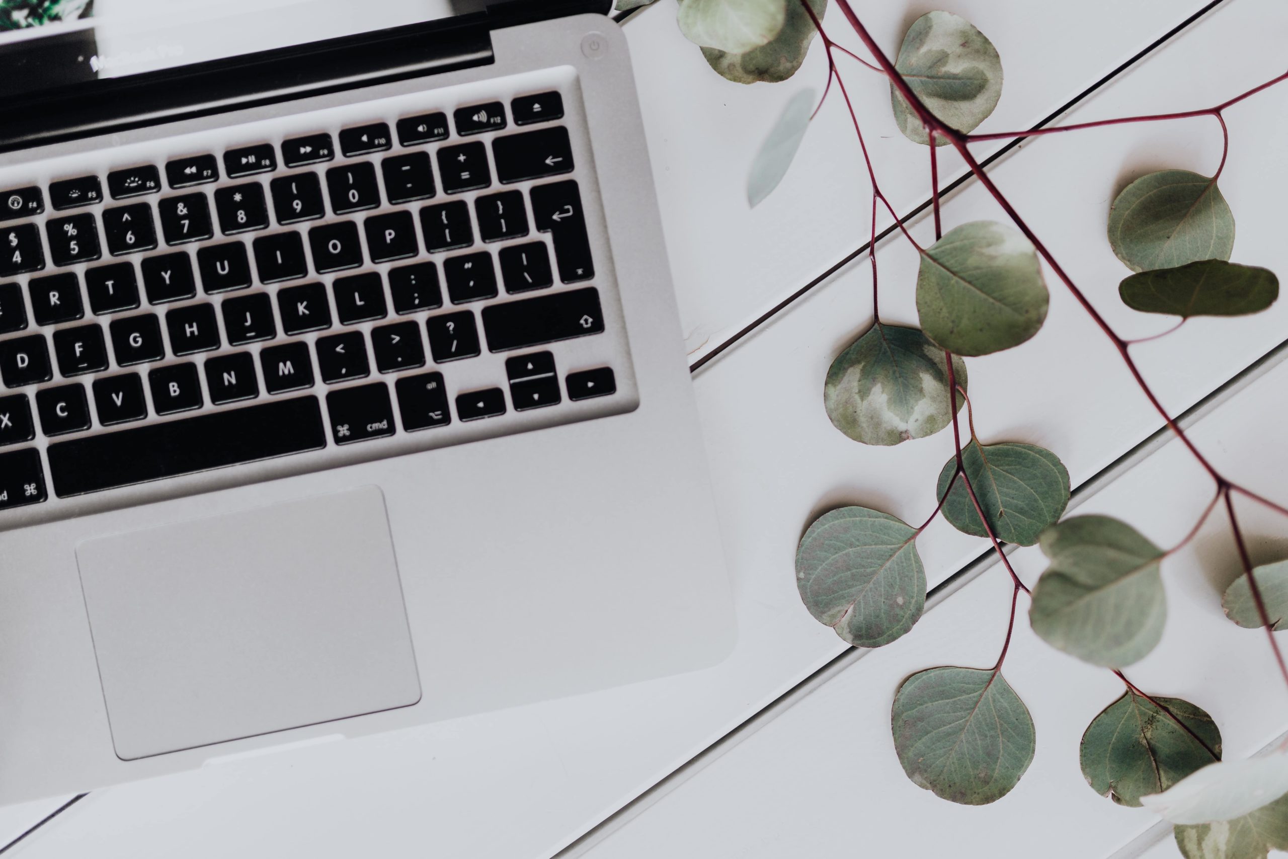 Online Interior Design, Interior Design Packages, Biophilic Design, Sustainable design