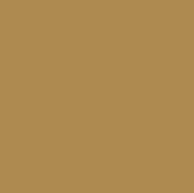 Paint sample of a dark golden yellow