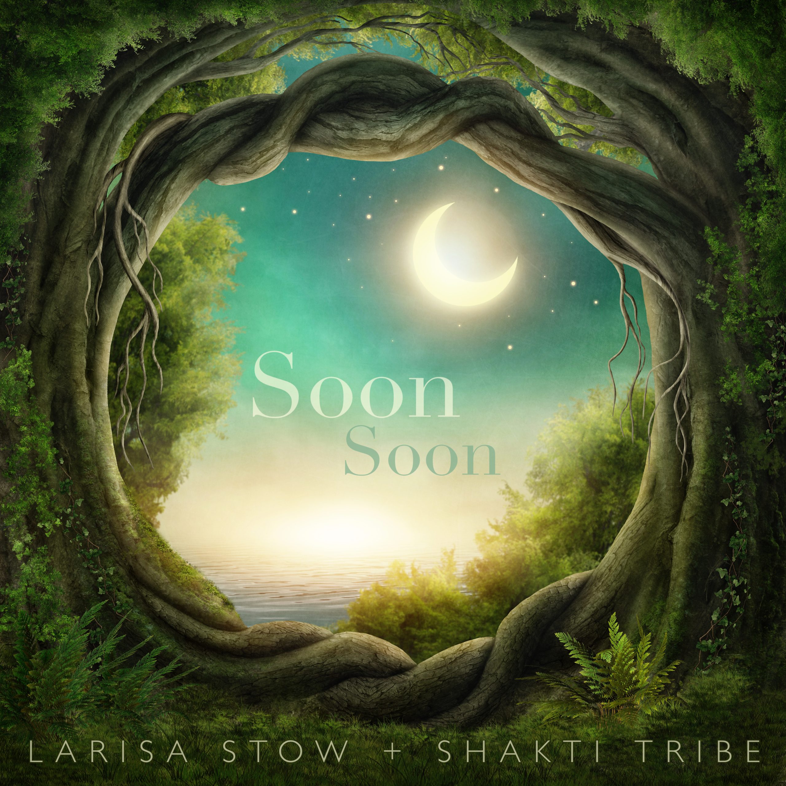 Soon Soon artwork