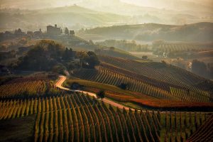 piedmont