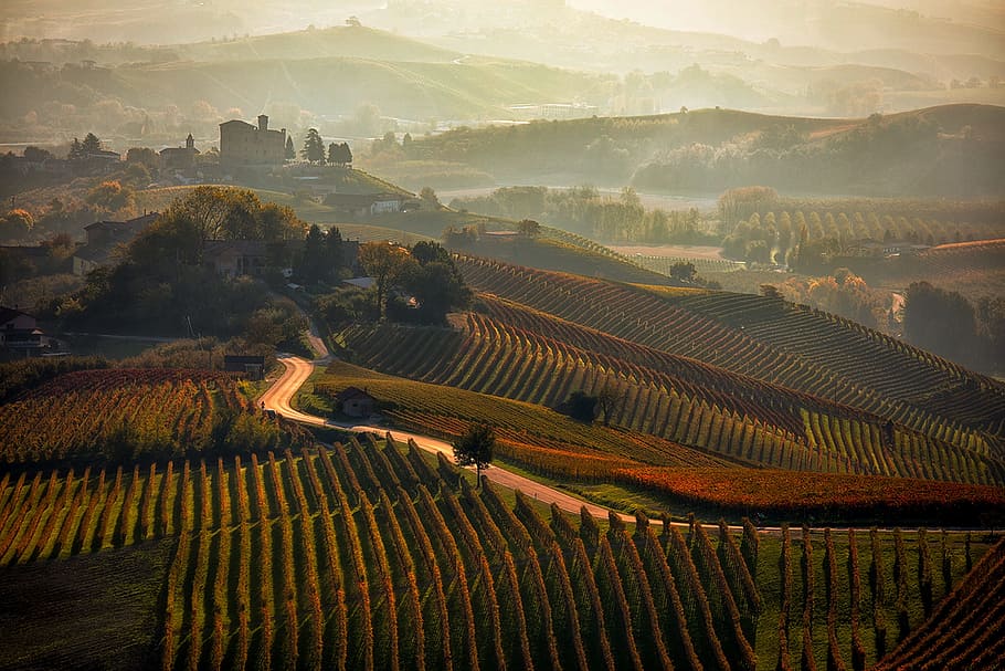 piedmont