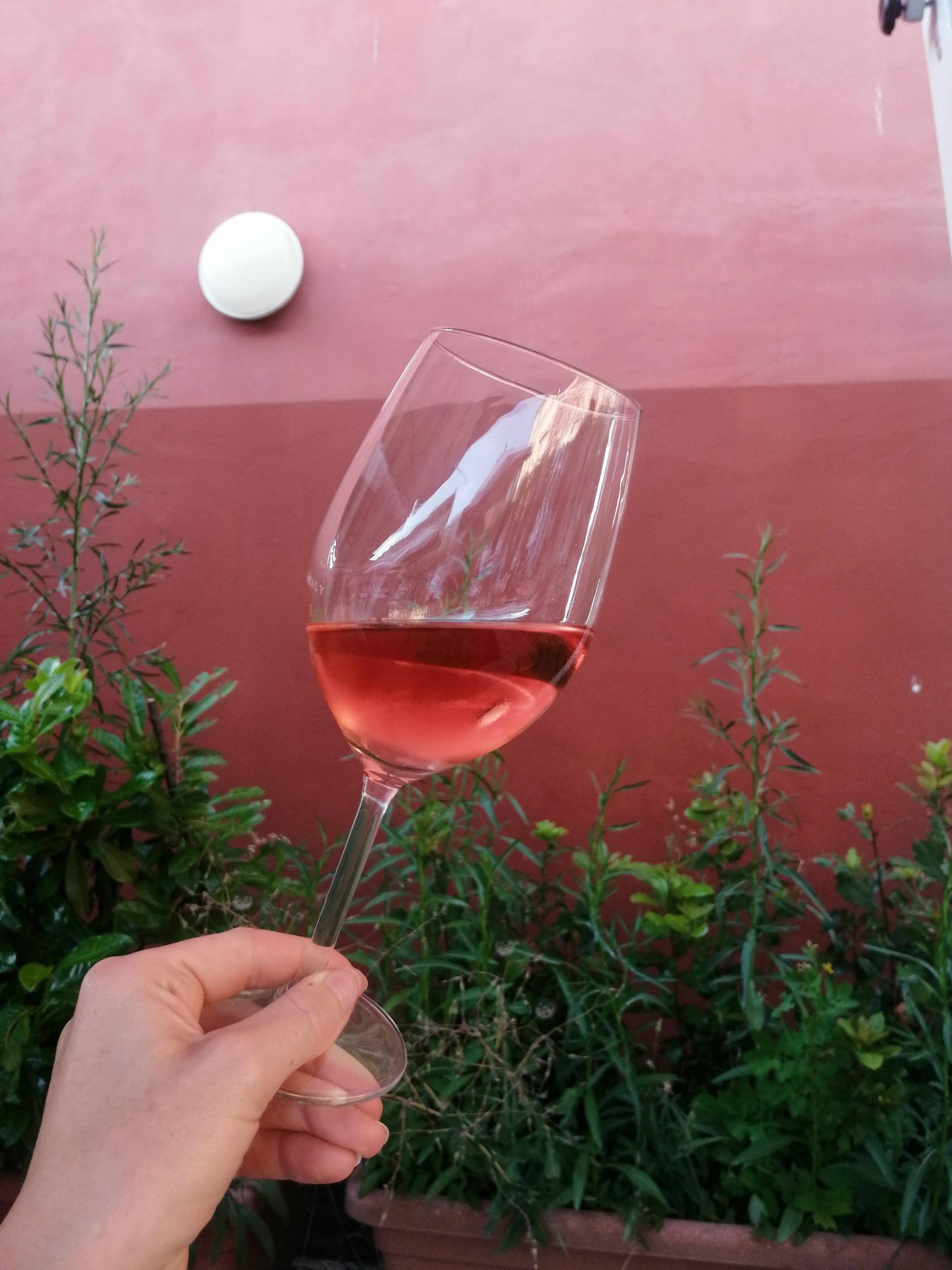 Italian Rosato Rosè wine