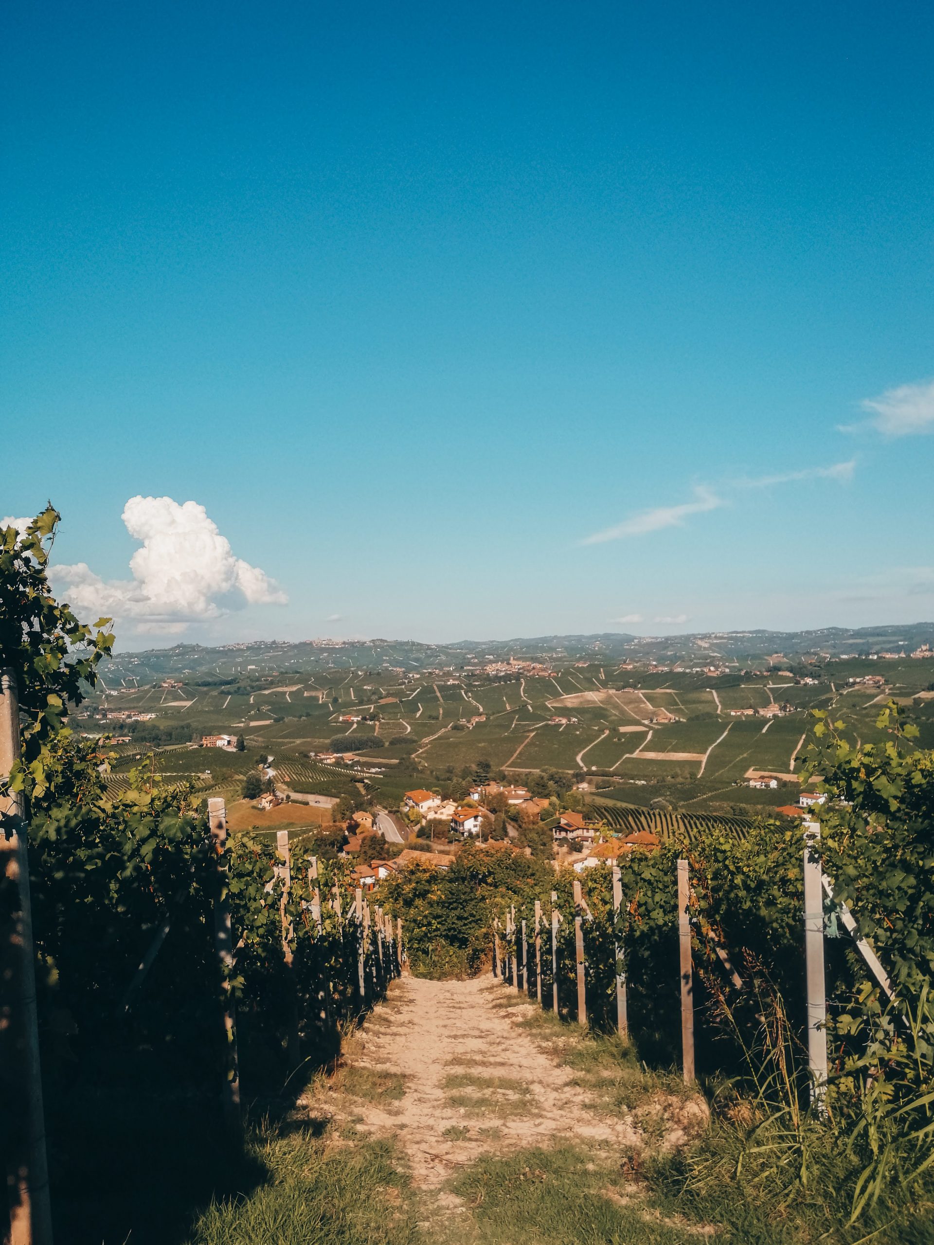 visiting the langhe
