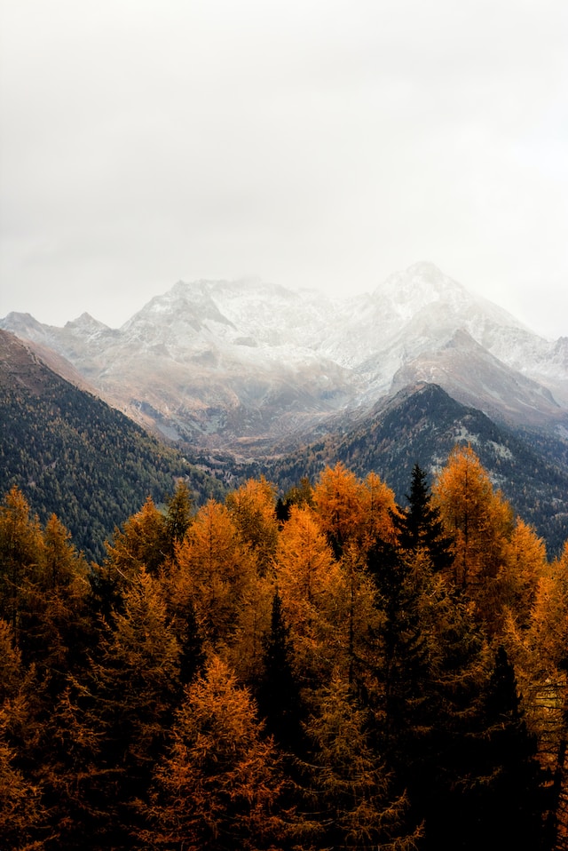 eberhard-grossgasteiger-5P91SF0zNsI-unsplash