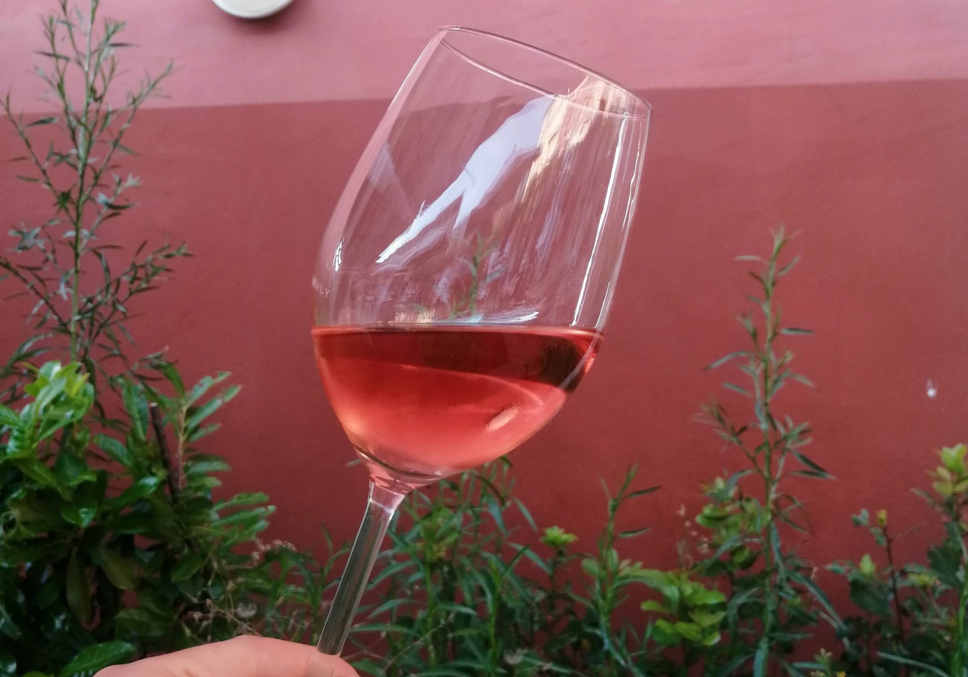 Italian Rosato Rosè wine