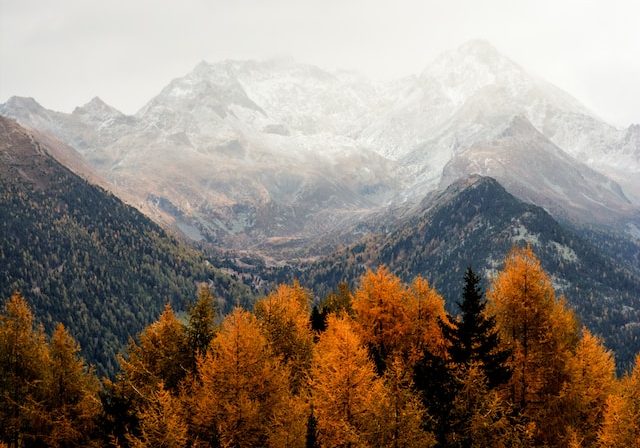 eberhard-grossgasteiger-5P91SF0zNsI-unsplash