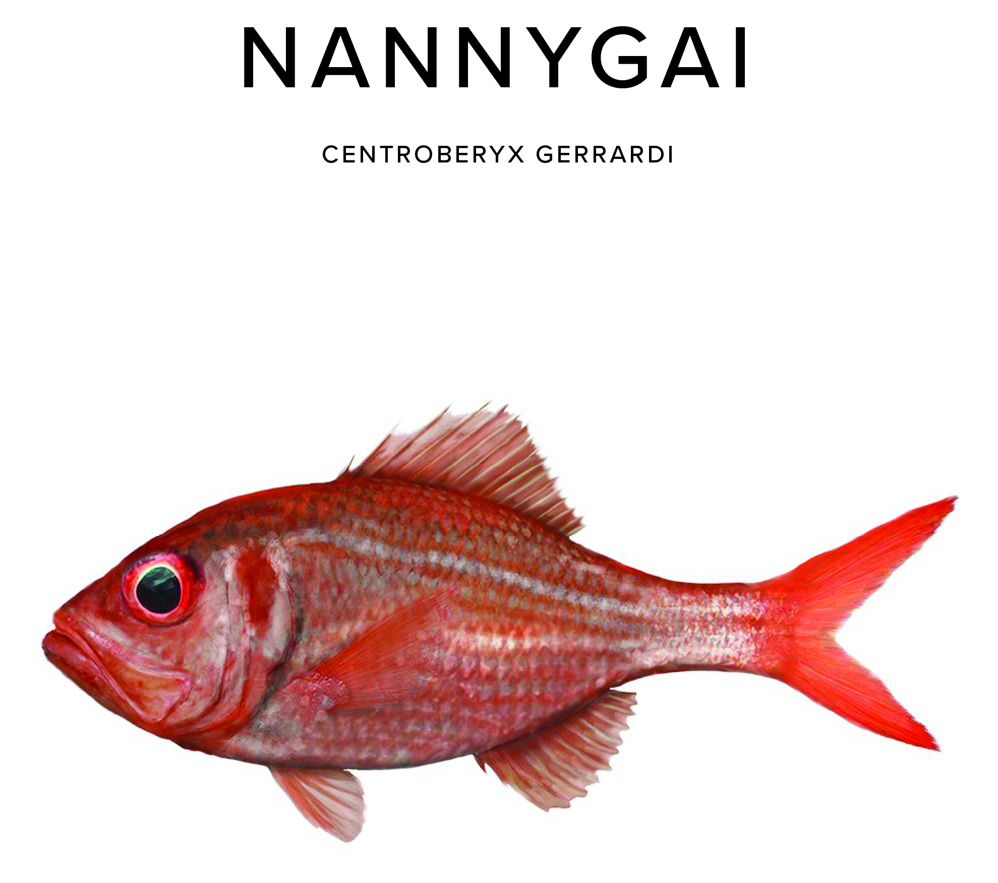 Nannygai