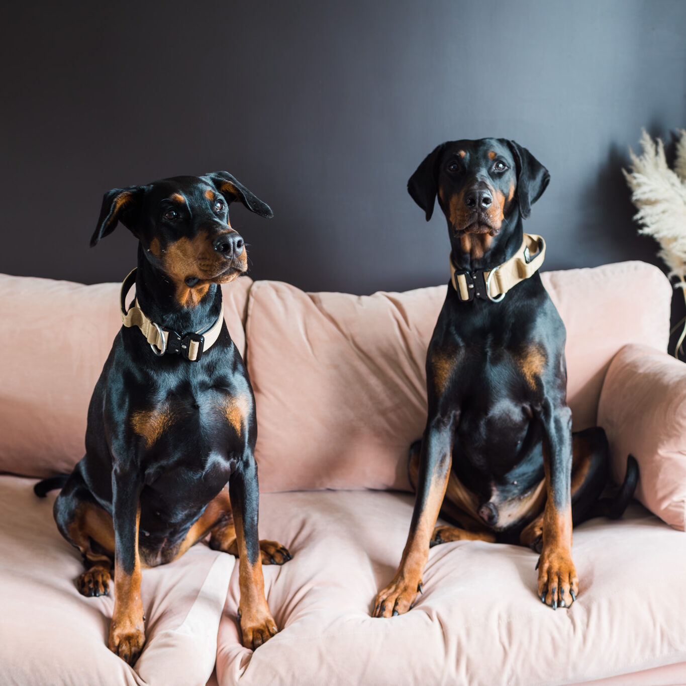 Tilly & Albert