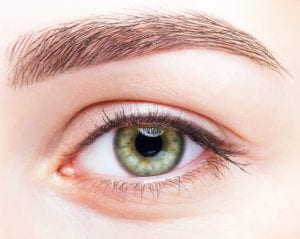 shutterstock_256759222