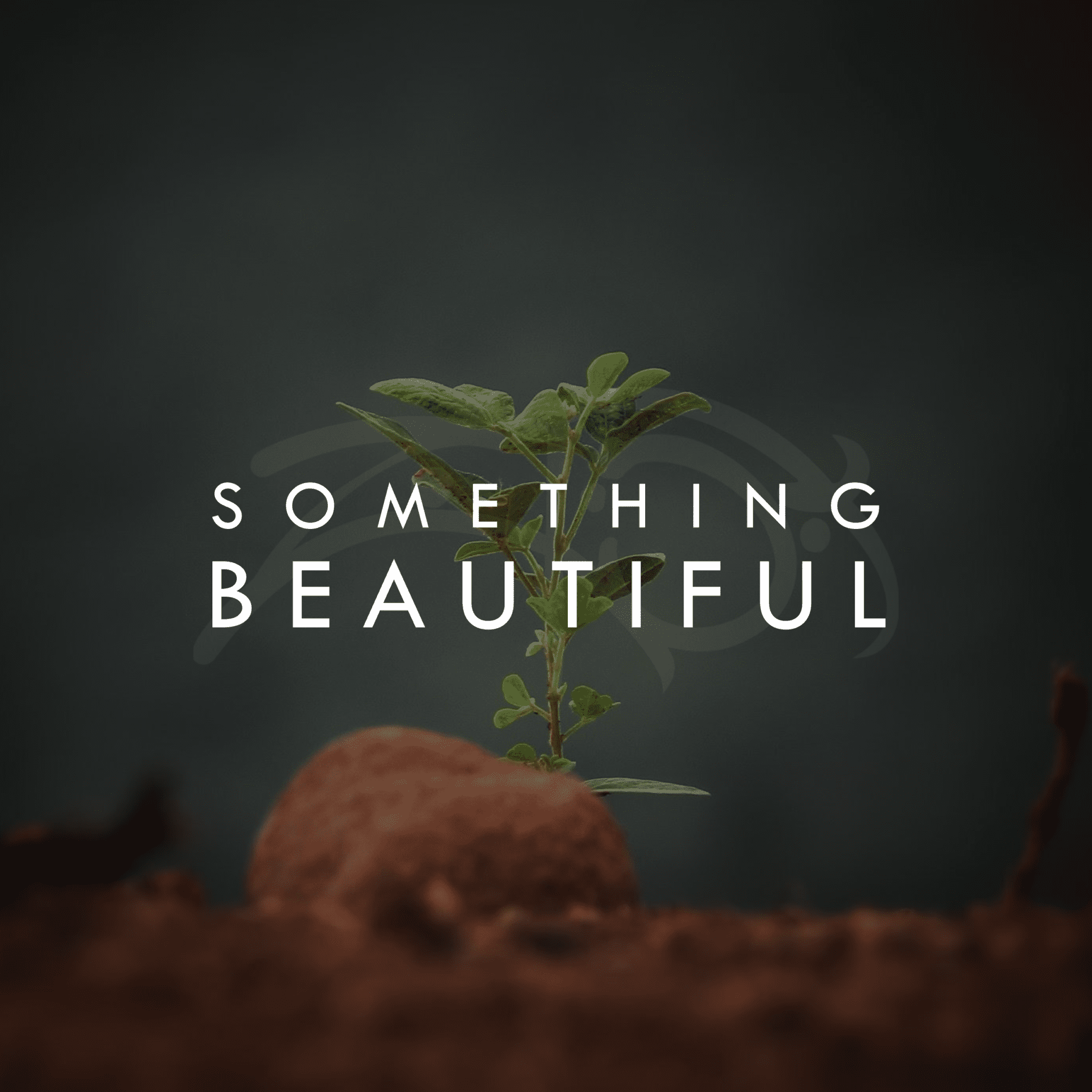 Zo Tobi - Something Beautiful - Cover Art