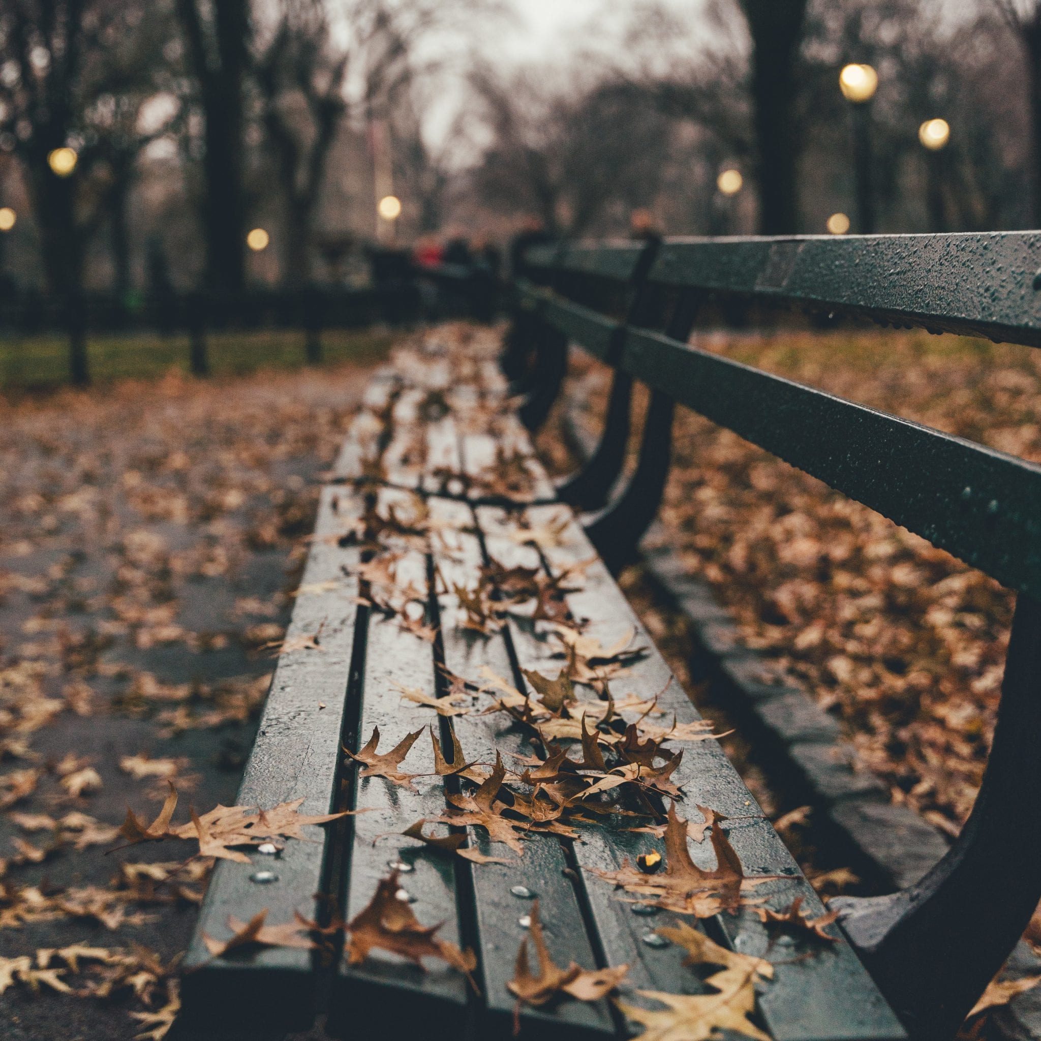 bench - nicole-y-c-pTBD5klYw3Y-unsplash - square