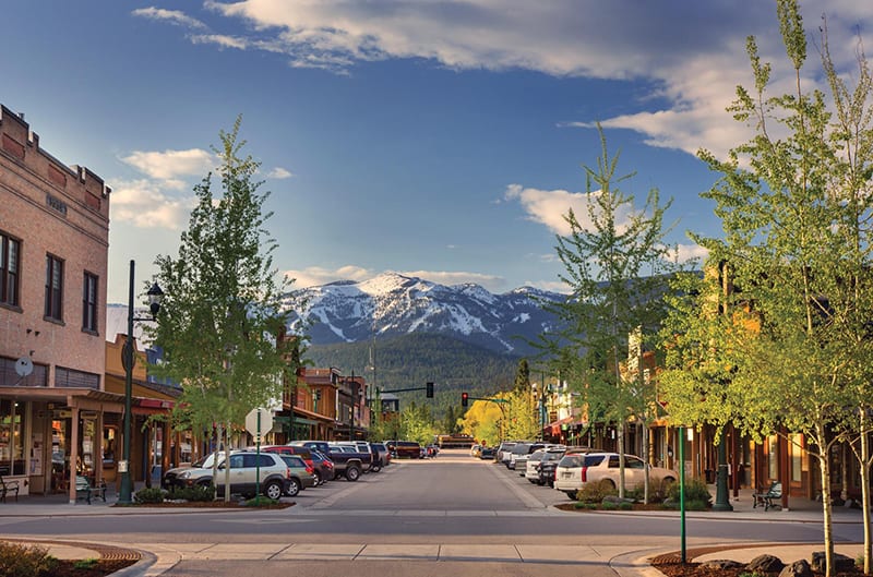 Whitefish