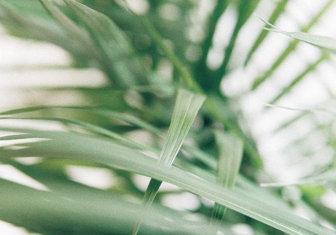 ap-x-90-bmM_IdLd1SA-unsplash