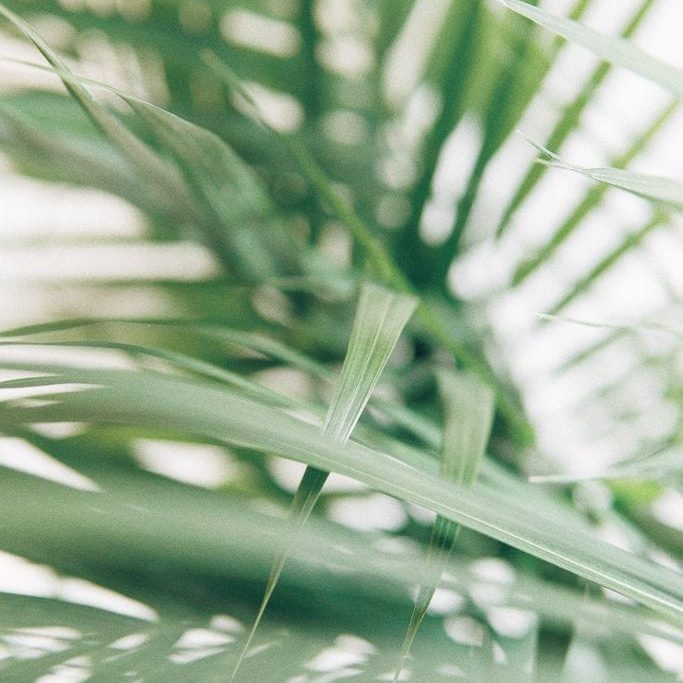 ap-x-90-bmM_IdLd1SA-unsplash